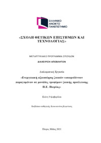 Φωτογραφία του περιγραφόμενου στοιχείου