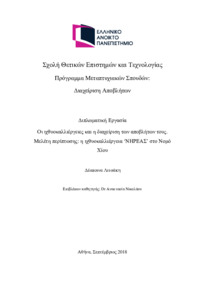 Φωτογραφία του περιγραφόμενου στοιχείου