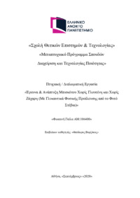 Φωτογραφία του περιγραφόμενου στοιχείου