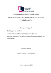 Φωτογραφία του περιγραφόμενου στοιχείου