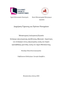 Φωτογραφία του περιγραφόμενου στοιχείου