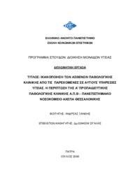 Φωτογραφία του περιγραφόμενου στοιχείου
