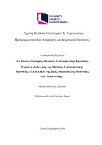 Φωτογραφία του περιγραφόμενου στοιχείου