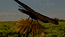 thumbnail of bitstream
